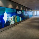 Project Supreme Court 03